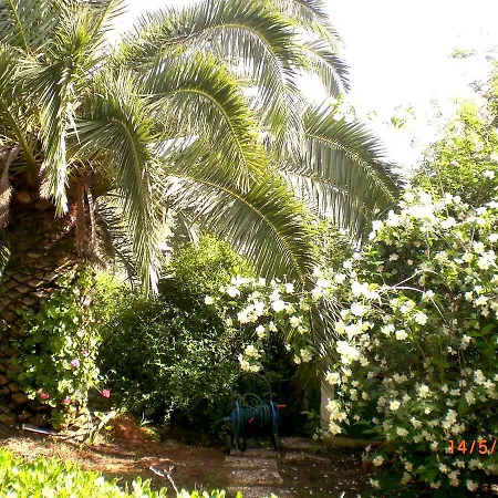 Villaseasicily , Pool Salt Water And Natural Chlorine In - Palermo Balestrate