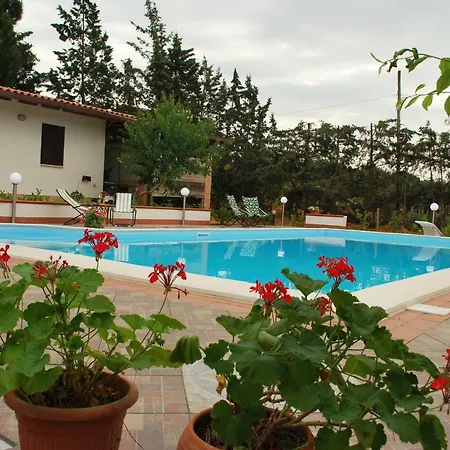 Villa Villaseasicily , Pool Salt Water And Natural Chlorine In - Palermo